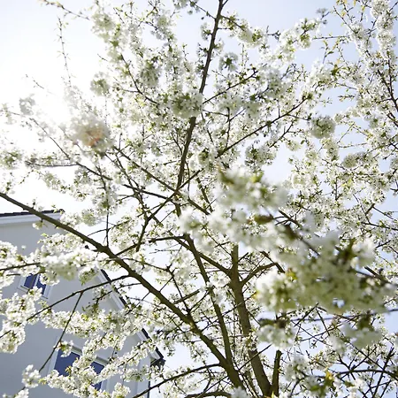 Hotel Kochs Stadthotel 4*