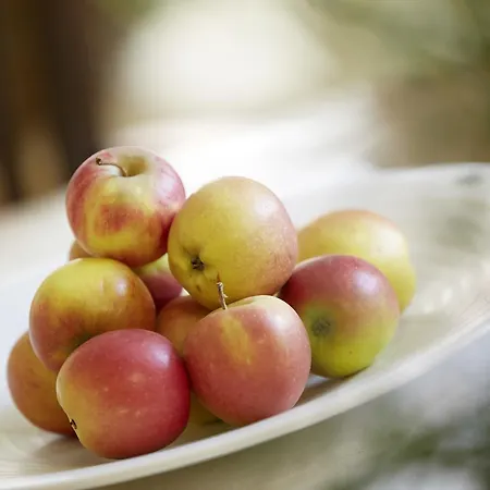 Hotel Kochs Stadthotel