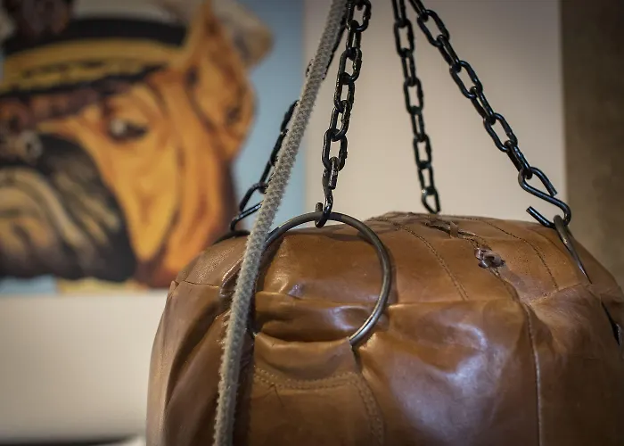 Kochs Stadthotel 4* Olpe bei Meschede